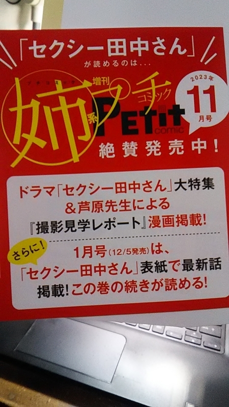 期間限定お値下げ！激レア！早い者勝ち！　ハーダンガー刺しゅう　原京子 セクシー田中さん ⑦』