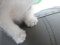 20120524163115
