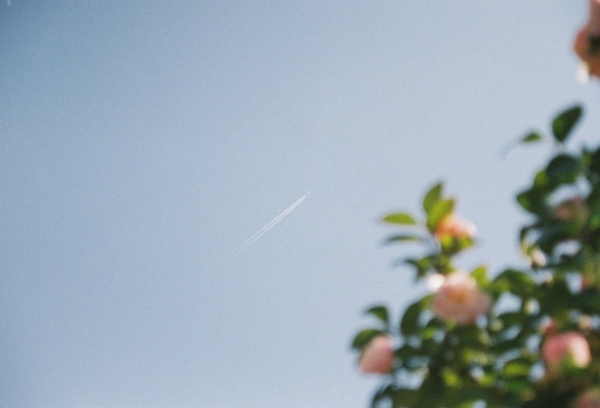 f:id:star-march:20120216235853j:image f:id:star-march:20120216235853j:image
