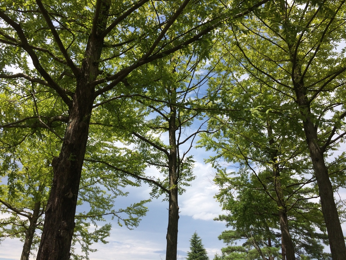 f:id:star-watch0705:20190829161837j:plain f:id:star-watch0705:20190829161837j:plain