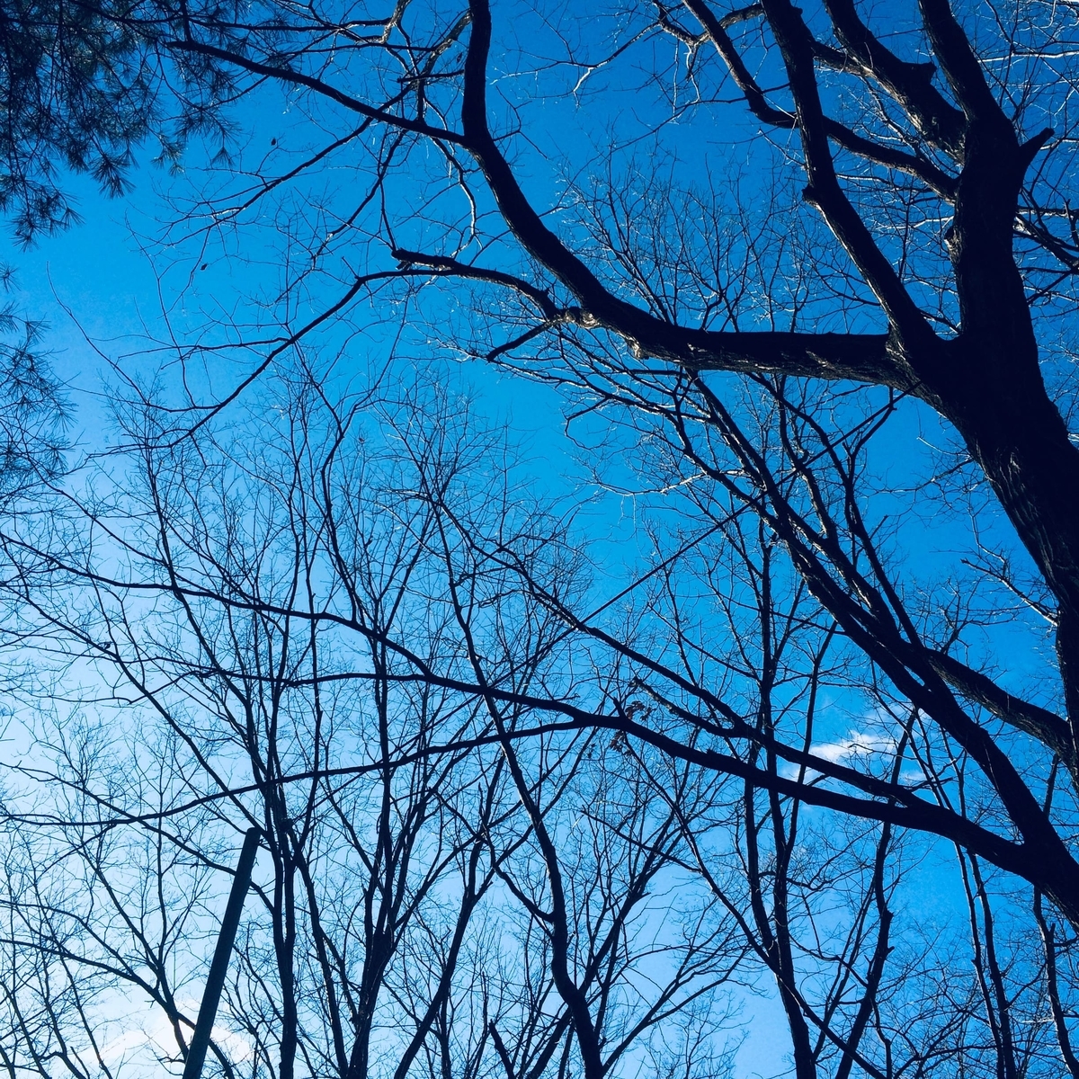 f:id:star-watch0705:20200113121041j:plain f:id:star-watch0705:20200113121041j:plain