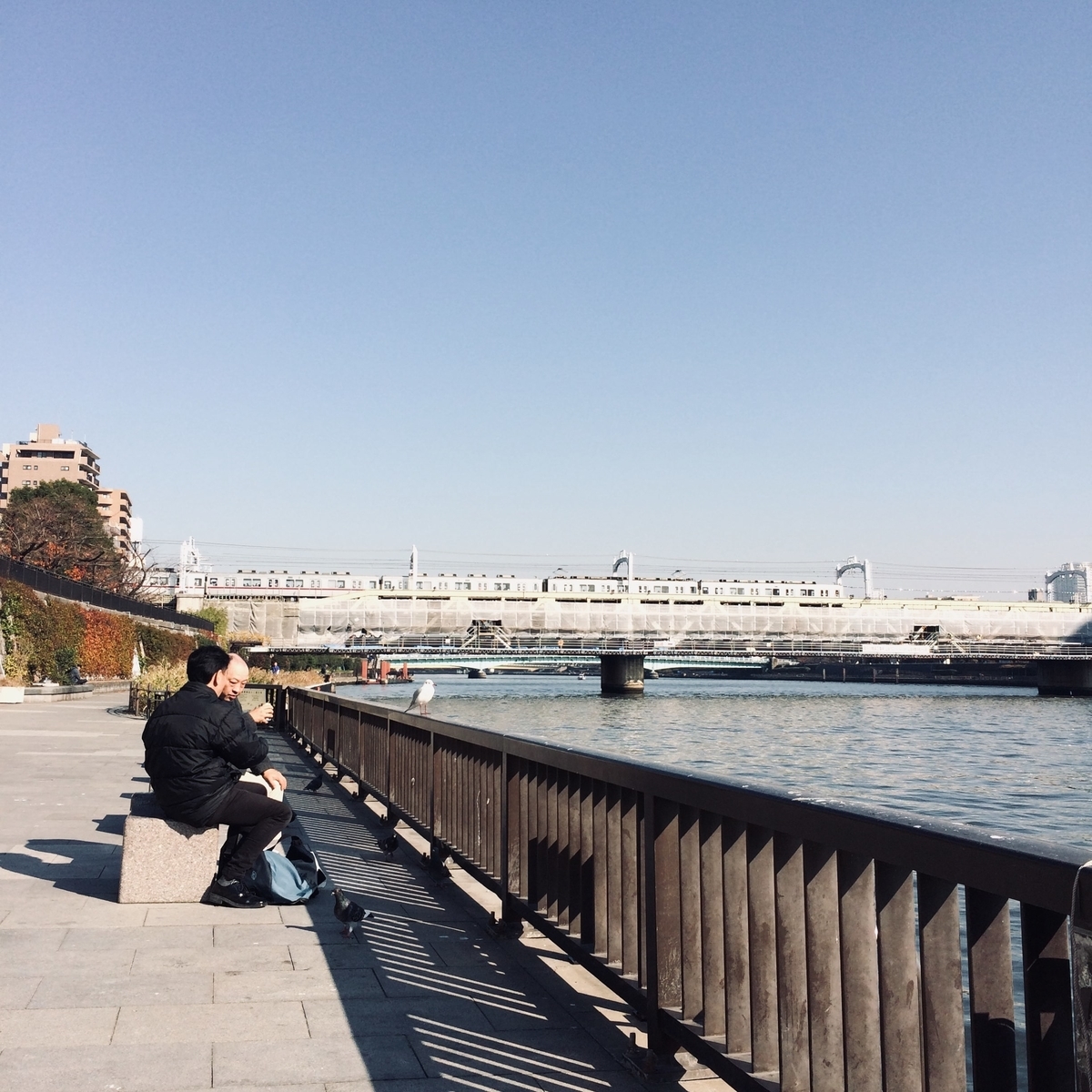 f:id:star-watch0705:20200326092908j:plain