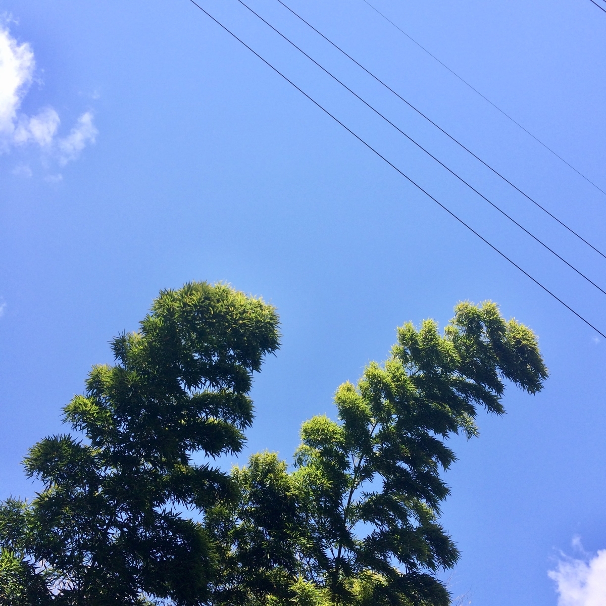 f:id:star-watch0705:20200414104601j:plain f:id:star-watch0705:20200414104601j:plain