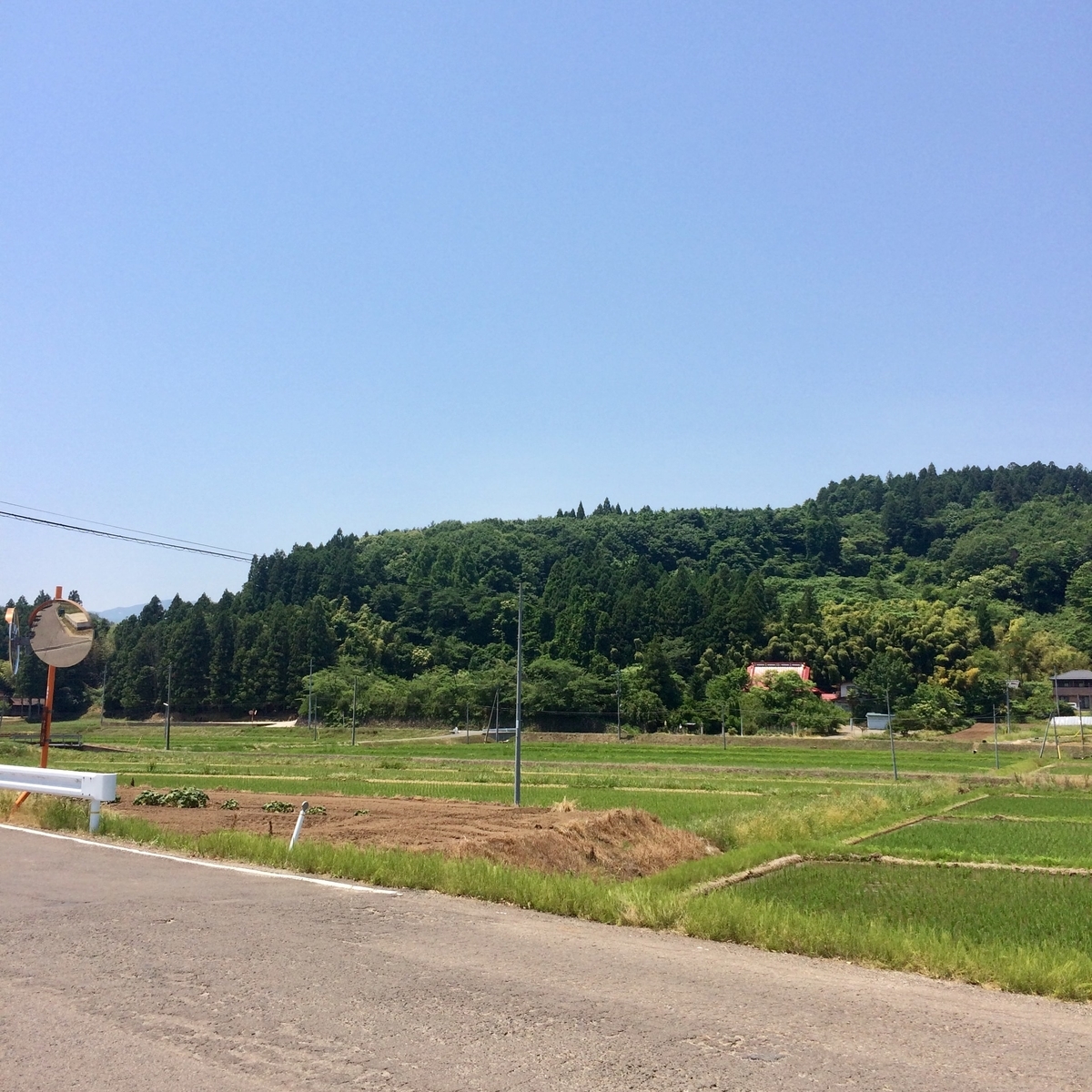 f:id:star-watch0705:20200610132945j:plain f:id:star-watch0705:20200610132945j:plain