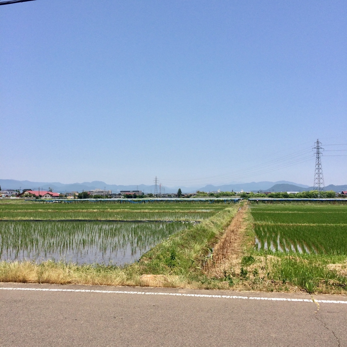 f:id:star-watch0705:20200610132948j:plain f:id:star-watch0705:20200610132948j:plain