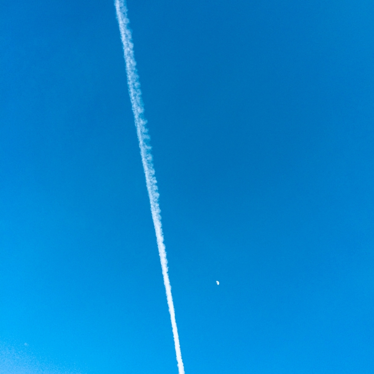 f:id:star-watch0705:20200701170703j:plain f:id:star-watch0705:20200701170703j:plain