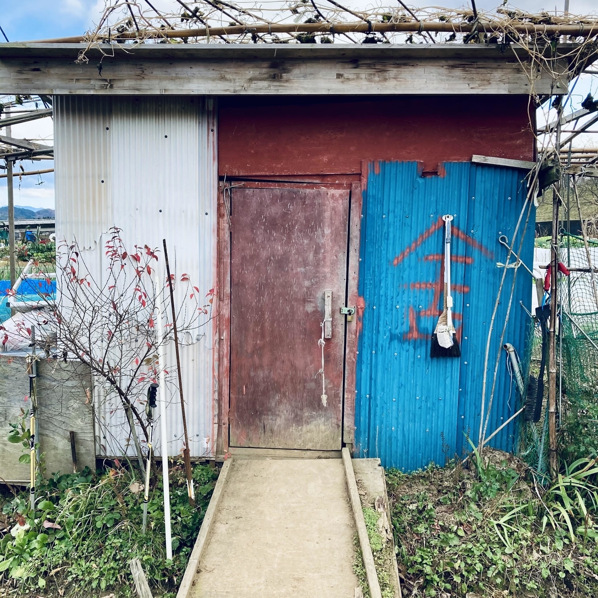 掘っ立て