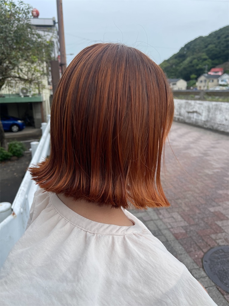 f:id:star0501:20241110091707j:image