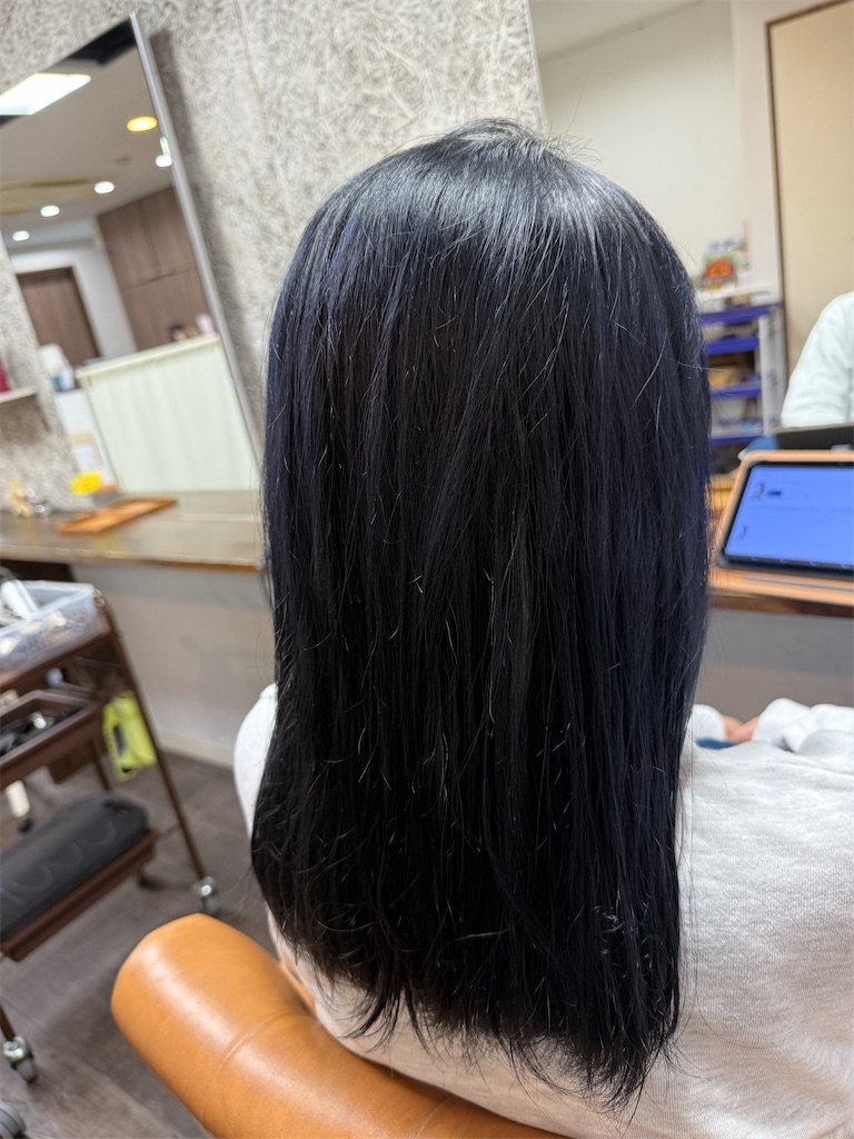 f:id:star0501:20241116095159j:image