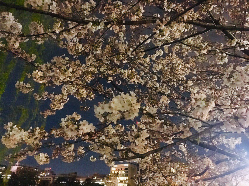 f:id:star2432:20190403142515j:plain f:id:star2432:20190403142515j:plain