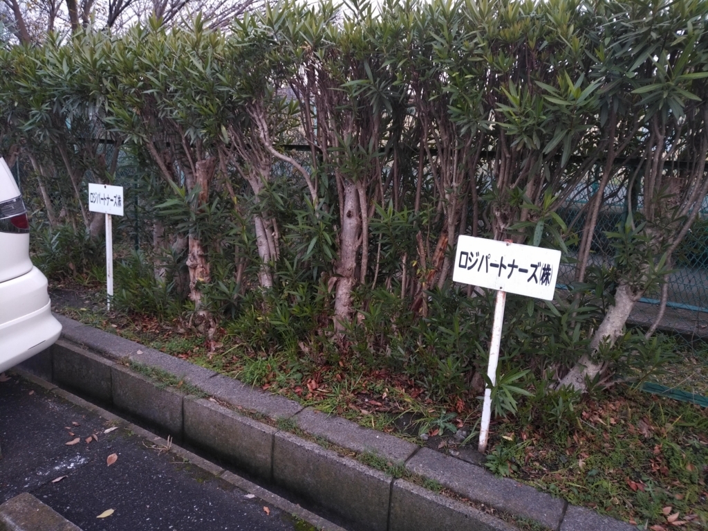 f:id:star5racing:20171201153930j:plain