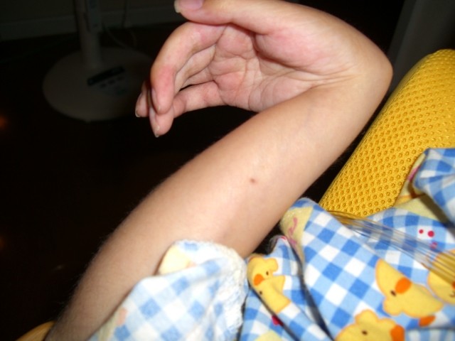 f:id:star_dust:20080930165552j:image:w400