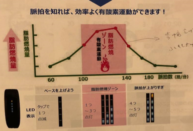 脂肪燃焼