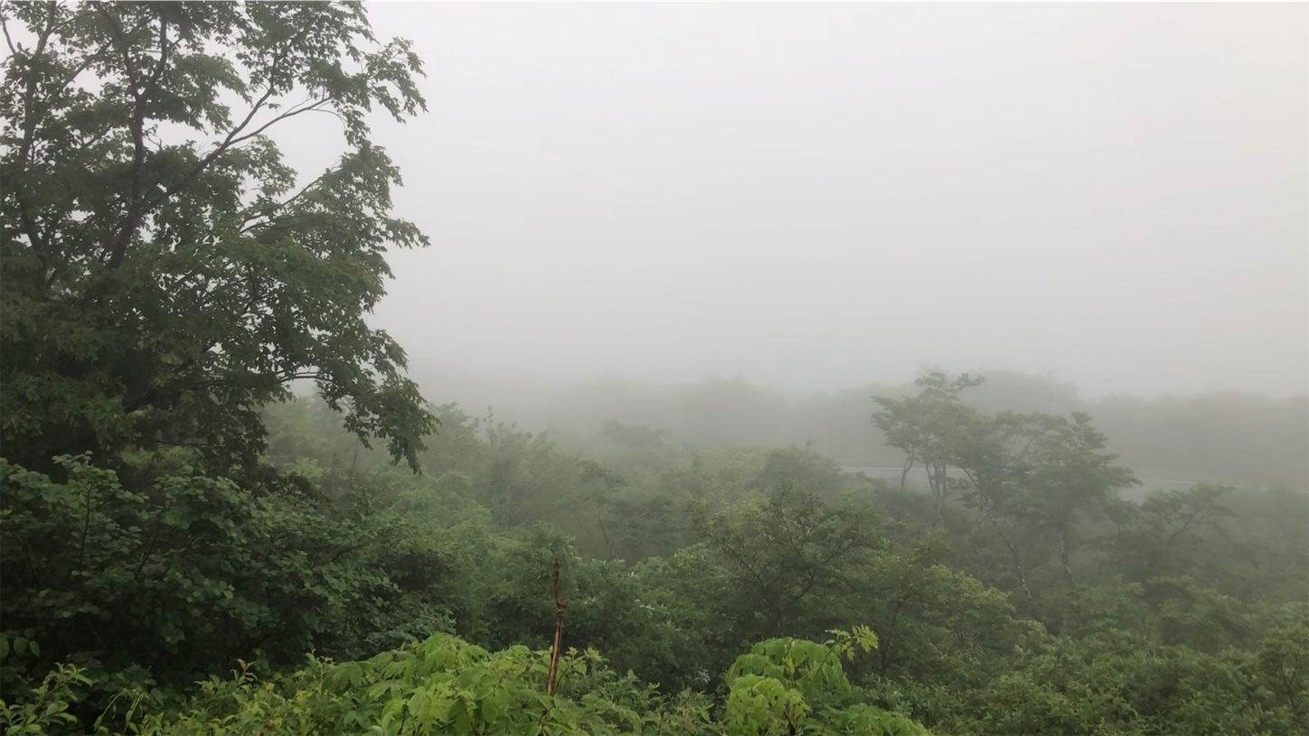 f:id:star_less:20210624105553p:image