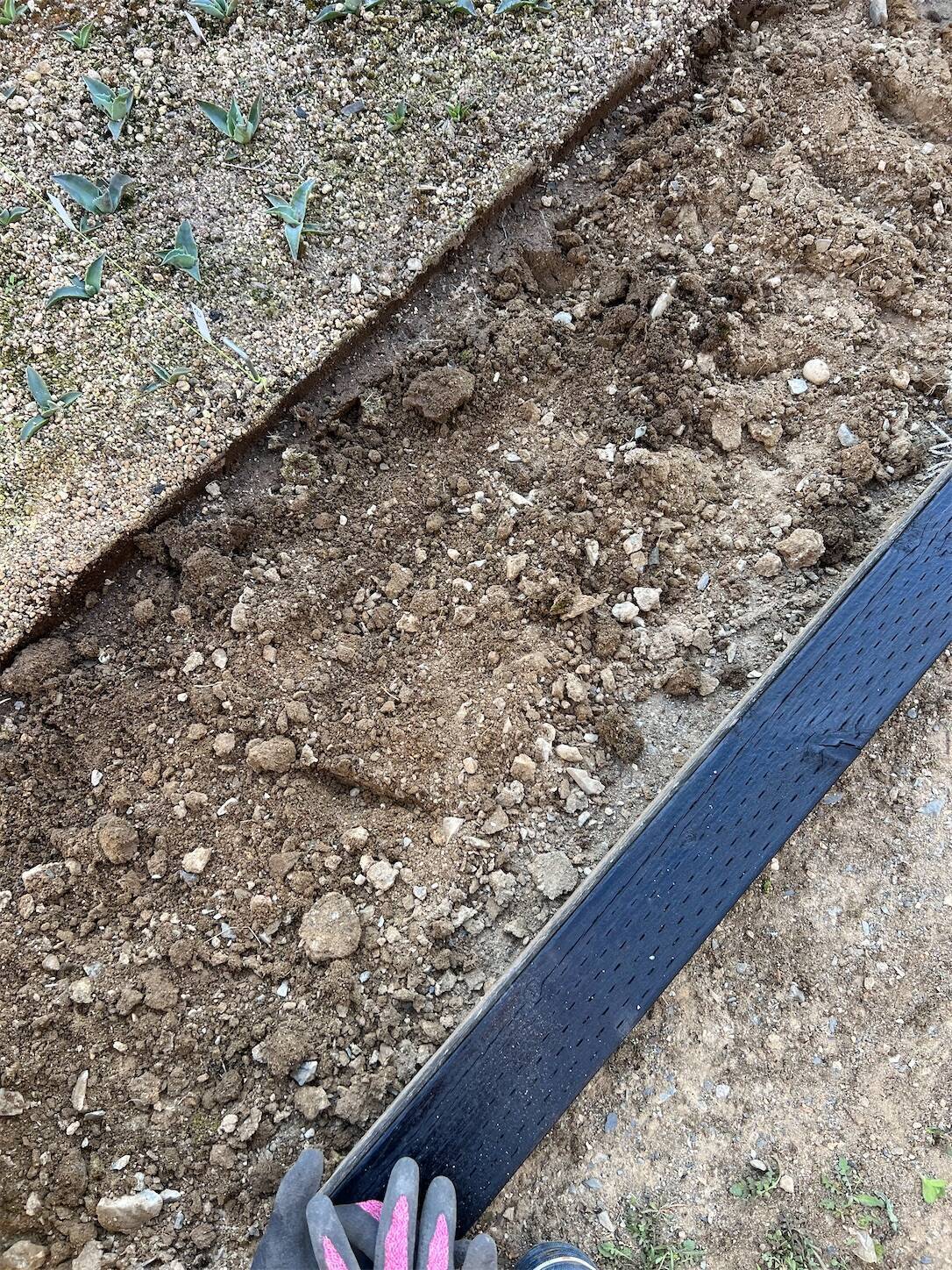 f:id:star_less:20230512201503j:image