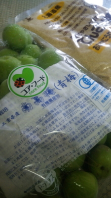 f:id:star_ruby:20100608130213j:image
