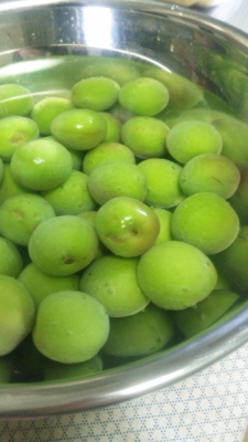 f:id:star_ruby:20100608131642j:image