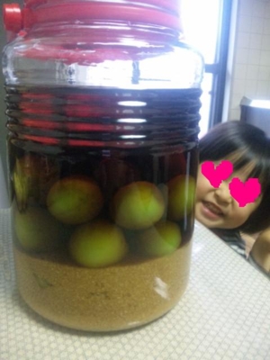 f:id:star_ruby:20100608154139j:image