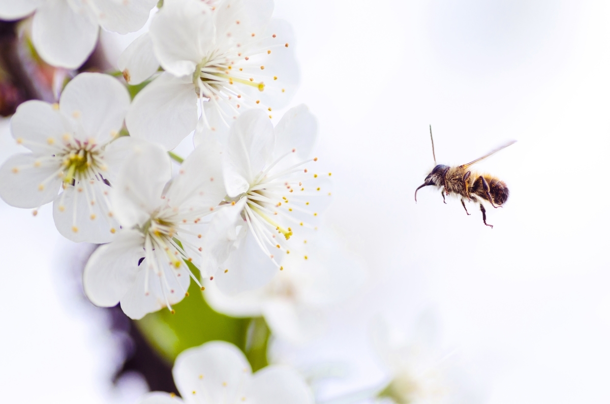f:id:stardust85:20190808114923j:plain f:id:stardust85:20190808114923j:plain