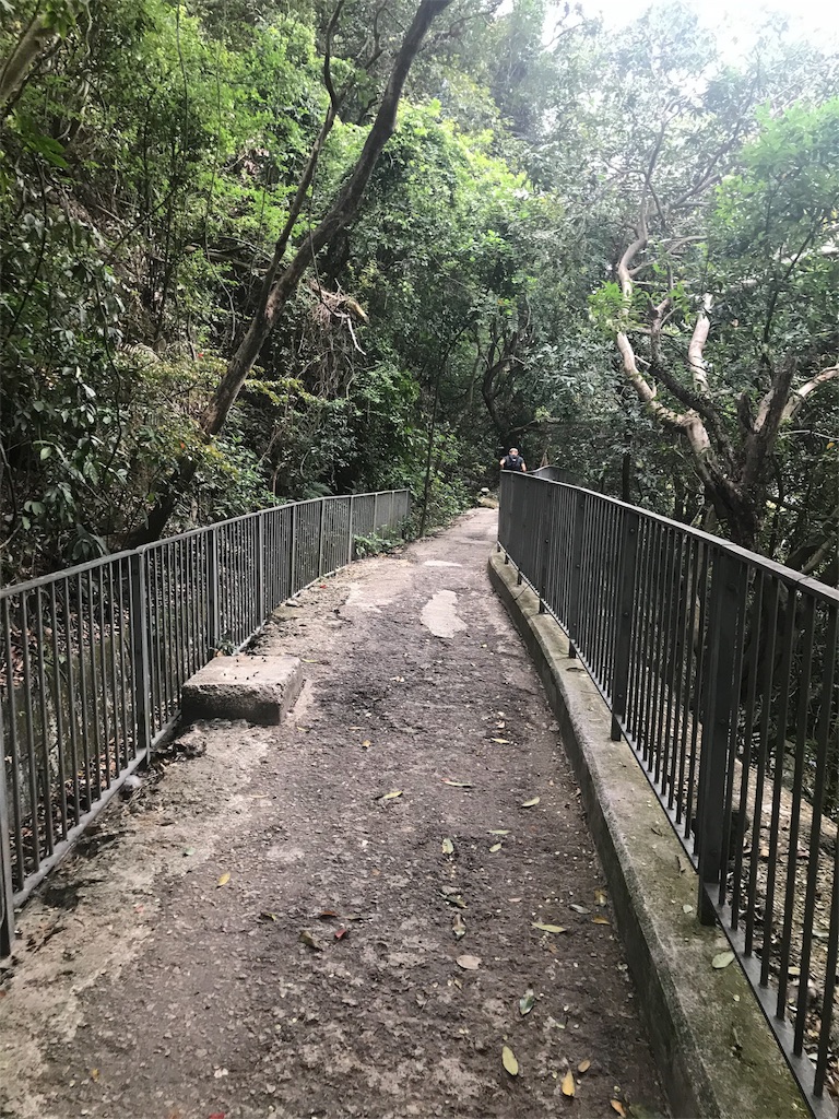 f:id:starflight:20180421192812j:image