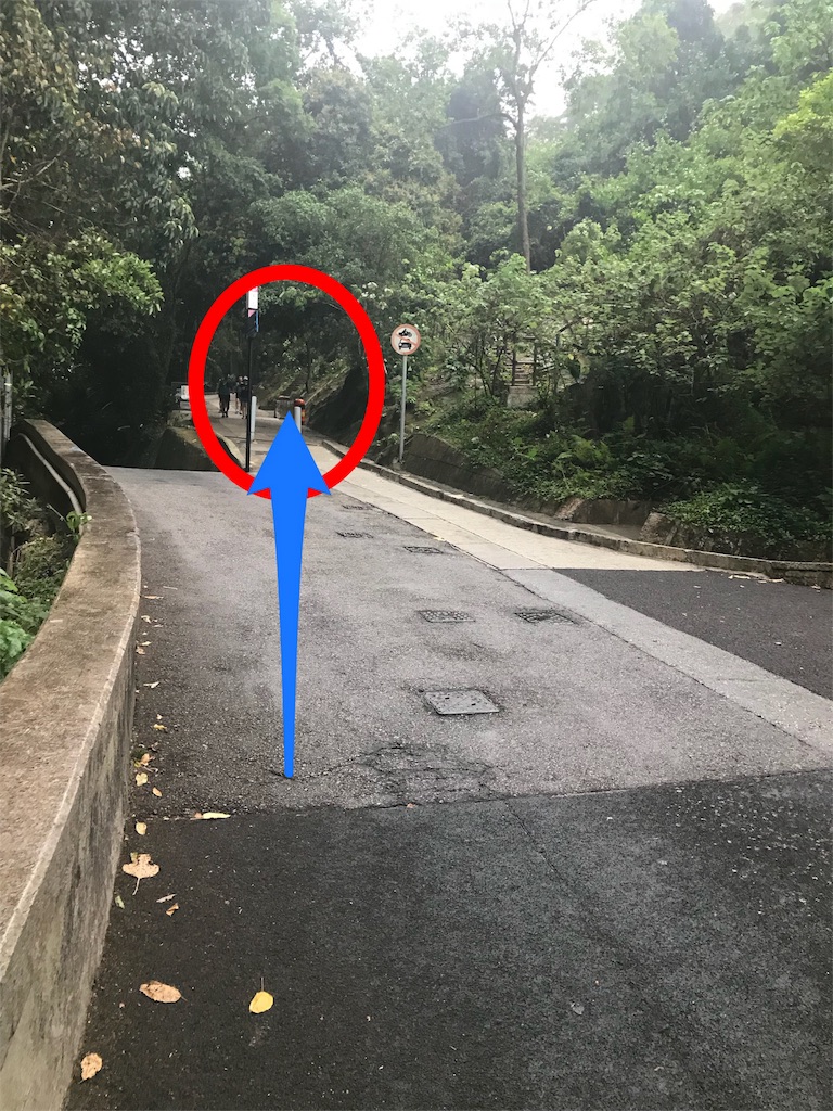 f:id:starflight:20180421193352j:image