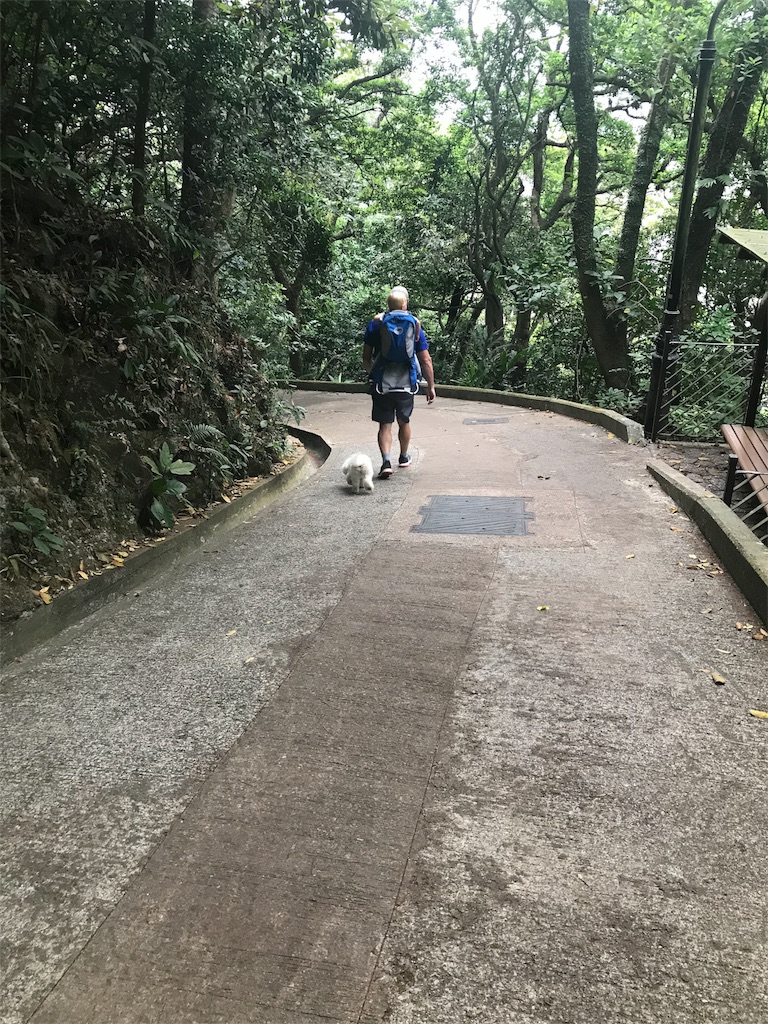 f:id:starflight:20180421193421j:image