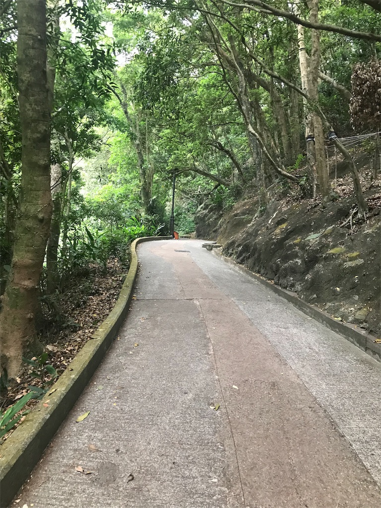 f:id:starflight:20180421193437j:image