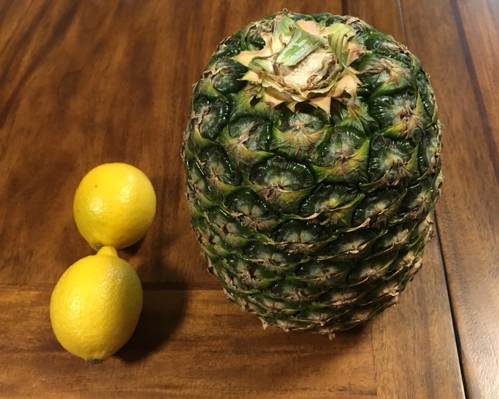 f:id:starhillplan:20190130230429j:plain f:id:starhillplan:20190130230429j:plain