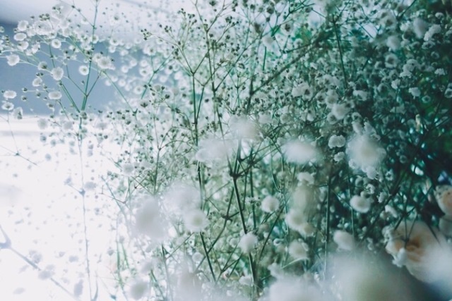 f:id:starlights124hs:20190411154323j:plain f:id:starlights124hs:20190411154323j:plain