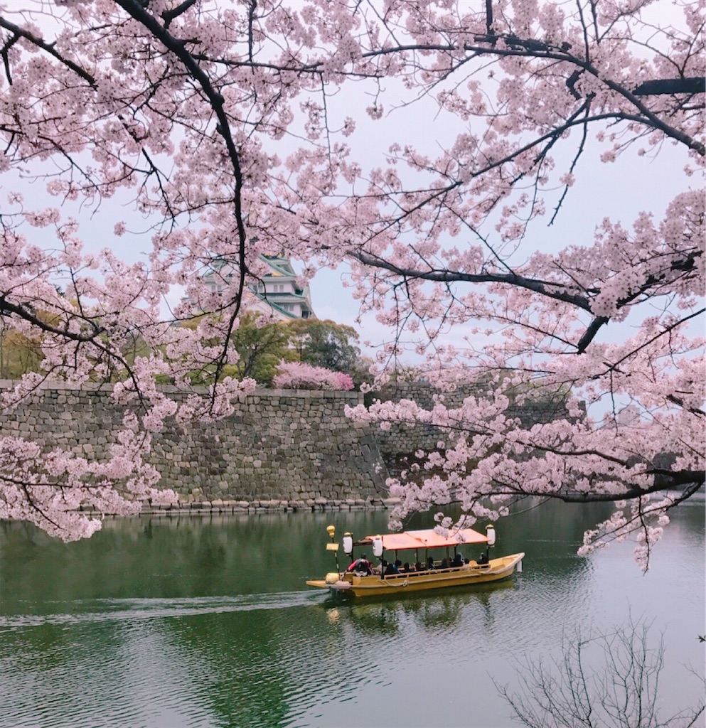 f:id:starlights124hs:20190419141810j:image f:id:starlights124hs:20190419141810j:image