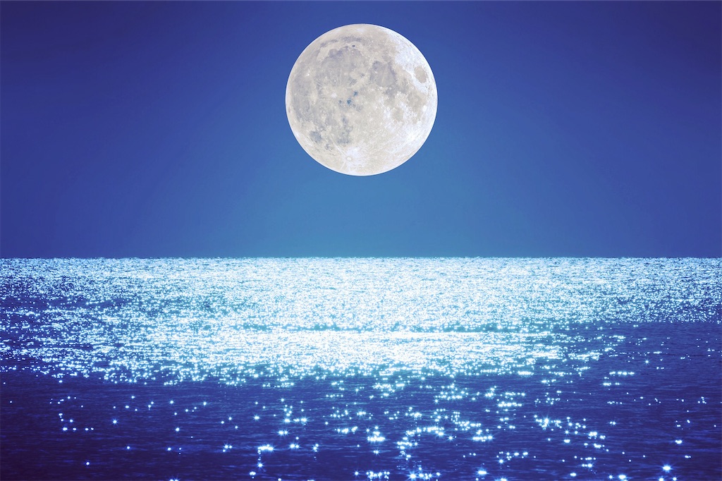 f:id:starlights124hs:20190424151106j:image f:id:starlights124hs:20190424151106j:image