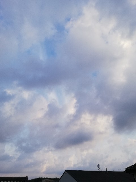 f:id:starmary:20190908203552j:image