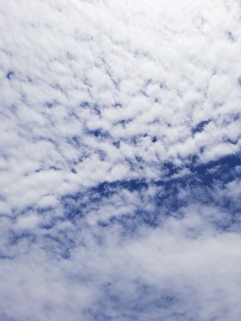 f:id:starmary:20190908204529j:image