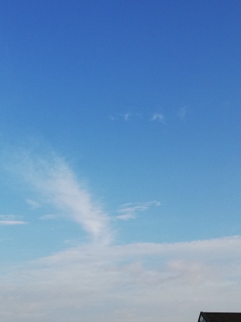 f:id:starmary:20190908204554j:image
