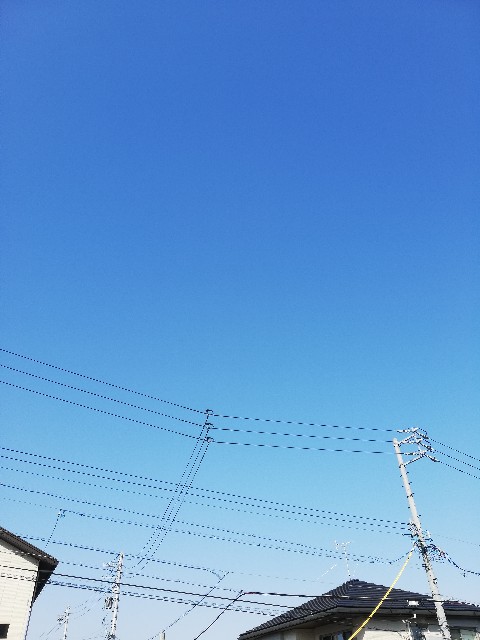f:id:starmary:20200409155902j:image