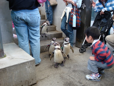 f:id:starry-night:20080503024451j:image:left f:id:starry-night:20080503024451j:image:left