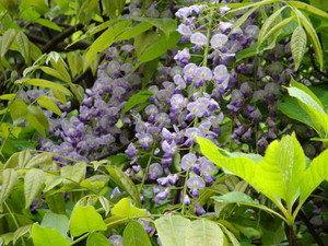 f:id:starry-night:20080607012857j:image f:id:starry-night:20080607012857j:image