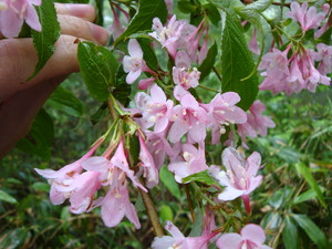 f:id:starry-night:20080607014437j:image f:id:starry-night:20080607014437j:image
