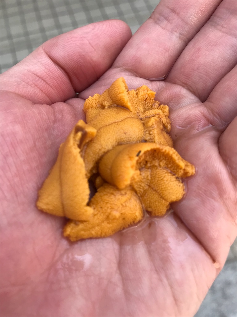 f:id:stationoffice:20180827035343j:image