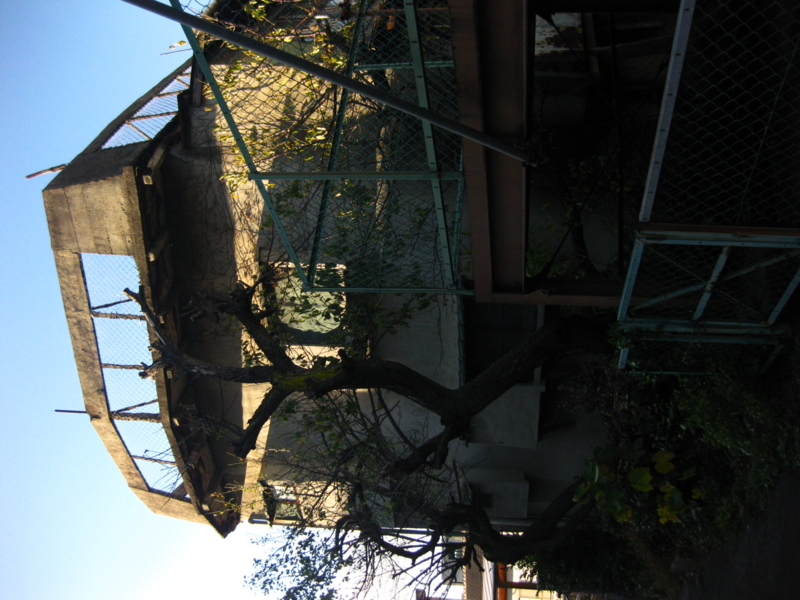 f:id:staygold81:20091114152134j:image f:id:staygold81:20091114152134j:image