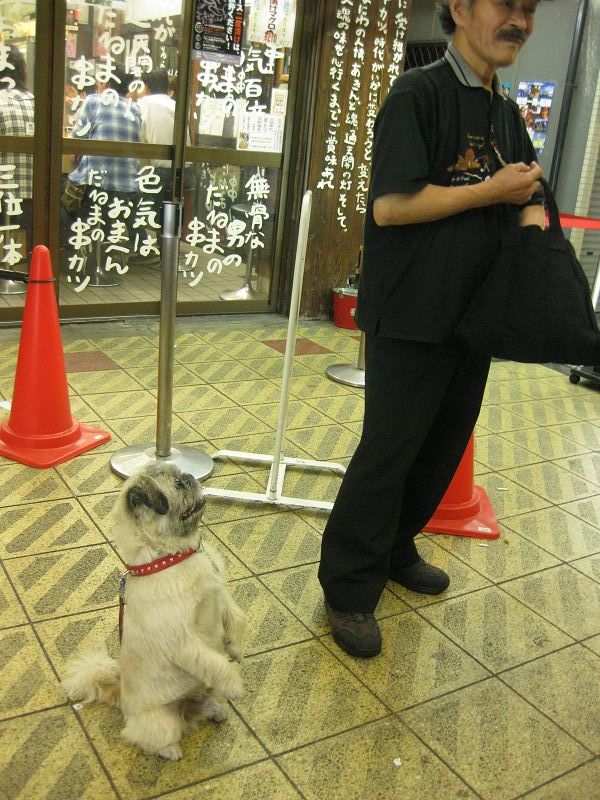 f:id:staygold81:20100418171124j:image f:id:staygold81:20100418171124j:image