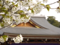 20120414230945