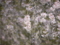20120417232132