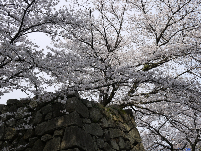 f:id:staygreeen:20130330233204j:image f:id:staygreeen:20130330233204j:image