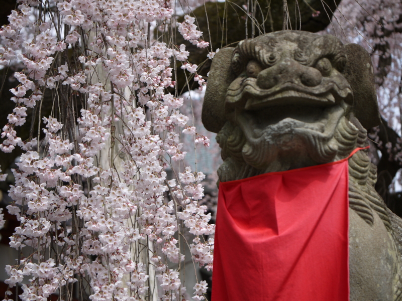 f:id:staygreeen:20130410230948j:image f:id:staygreeen:20130410230948j:image