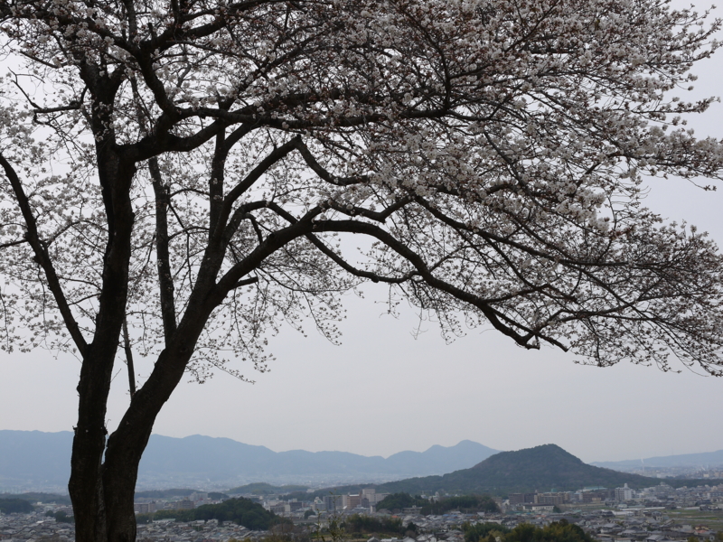 f:id:staygreeen:20130410231134j:image f:id:staygreeen:20130410231134j:image