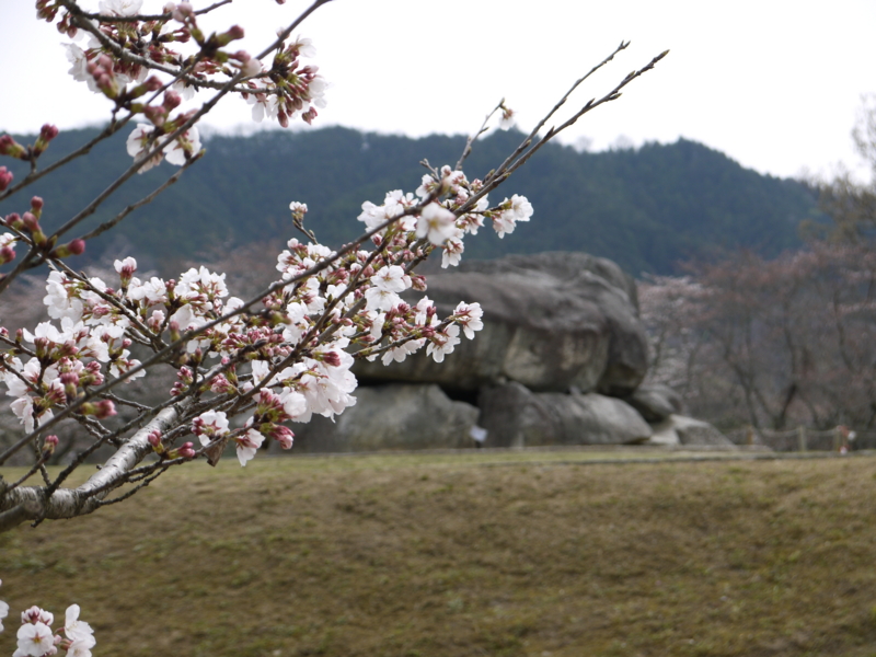 f:id:staygreeen:20130410231152j:image f:id:staygreeen:20130410231152j:image