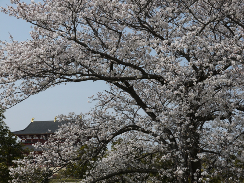 f:id:staygreeen:20130410231423j:image f:id:staygreeen:20130410231423j:image