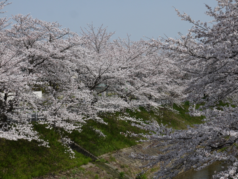 f:id:staygreeen:20130410231440j:image f:id:staygreeen:20130410231440j:image