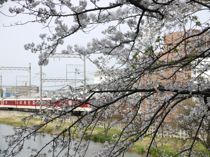 f:id:staygreeen:20130410232231j:image f:id:staygreeen:20130410232231j:image